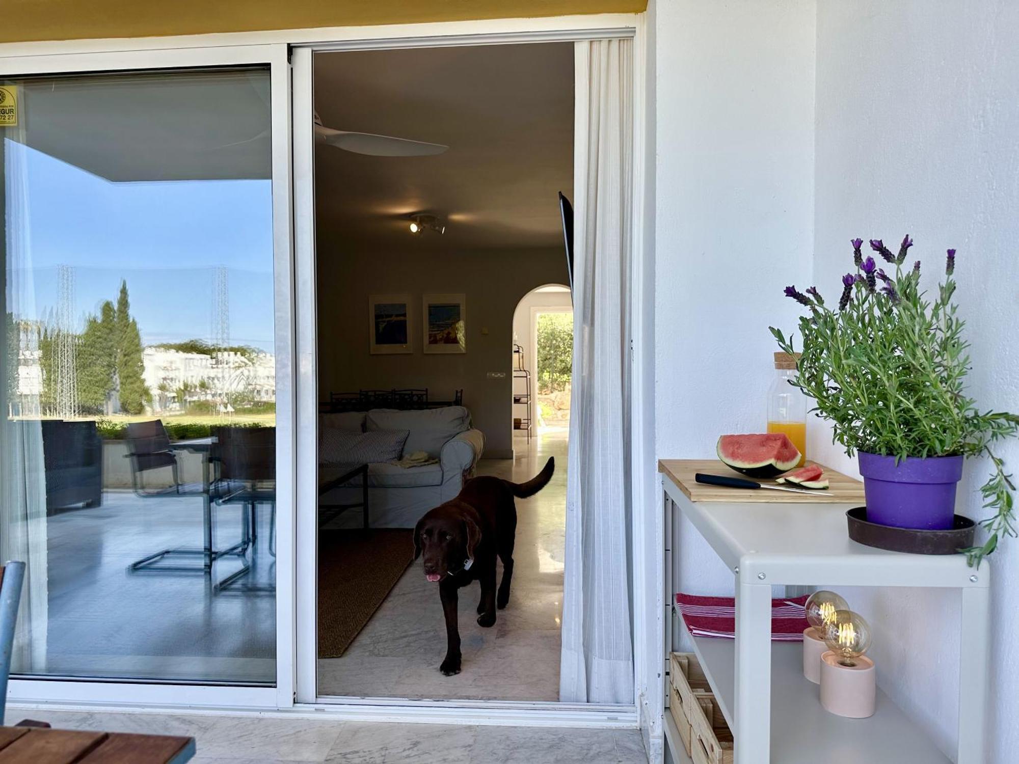 Blue House In Guadalmina Baja, With A Large Terrace Overlooking The Golf Apartment *